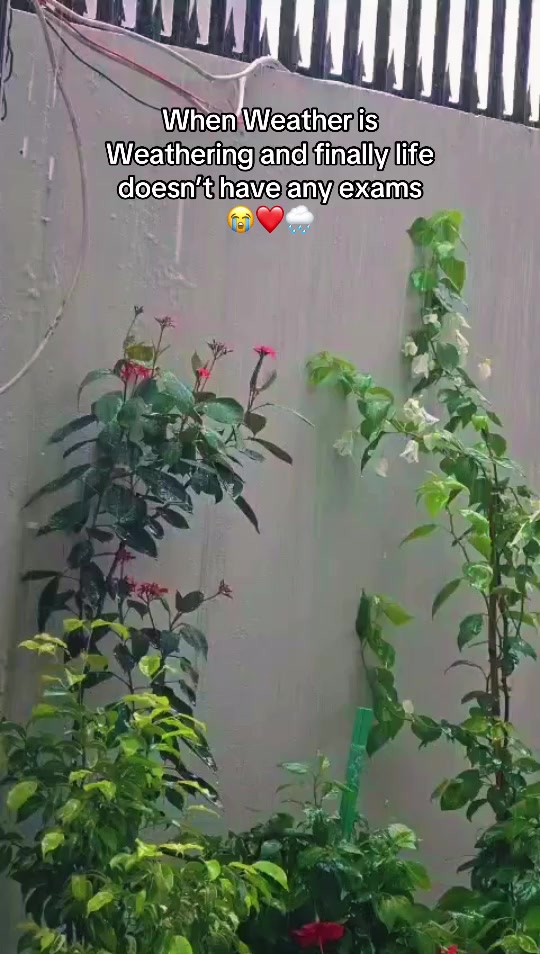 @Zuu___❤️