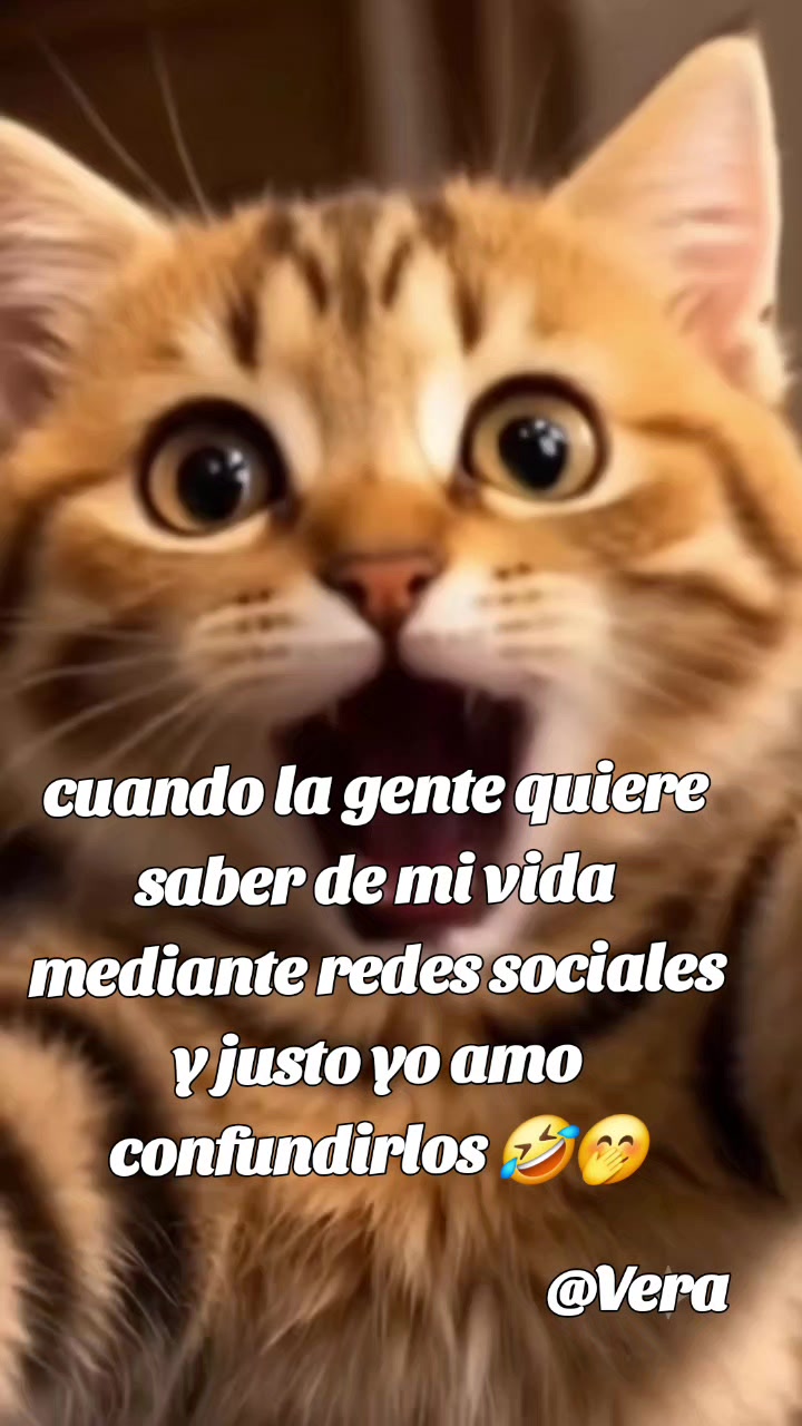 @🐆☘️VERA🌻💖