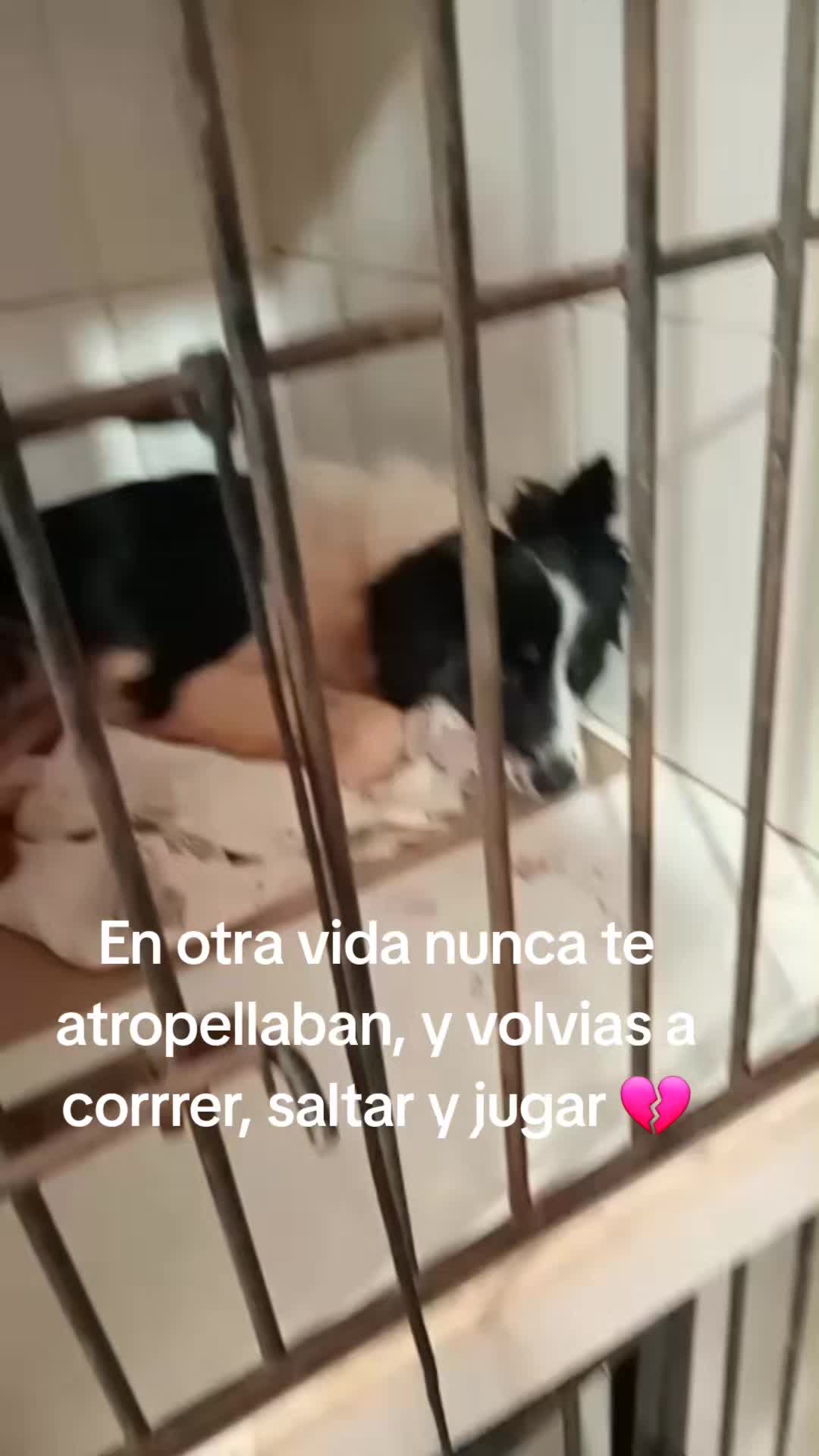 @Sol Britez♡