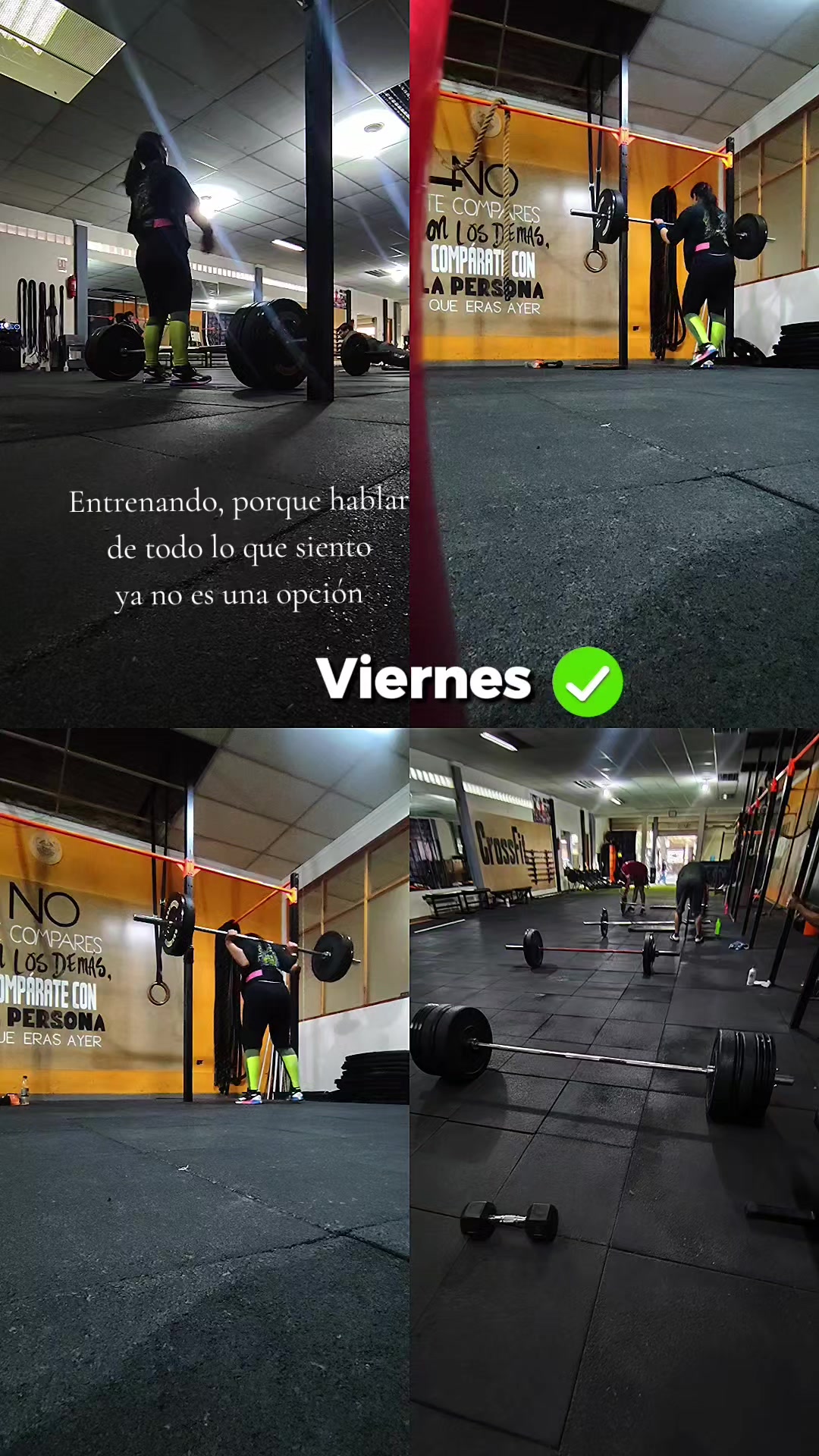 @Gabriela Torrico Tor