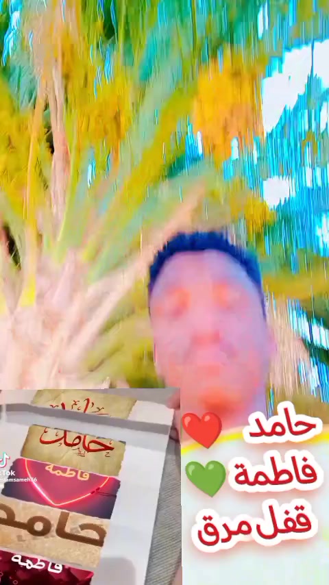 @حامدشعيب ودشمار 🇸🇩🇳🇬⚔️