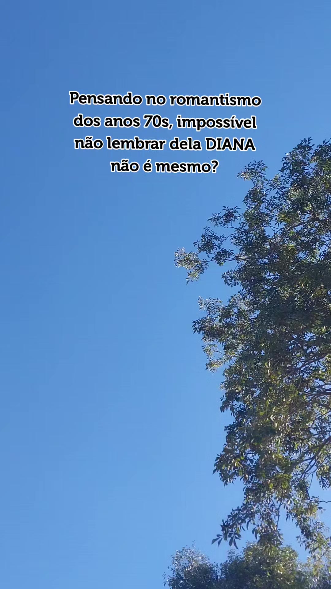 @LobaNegra✔️