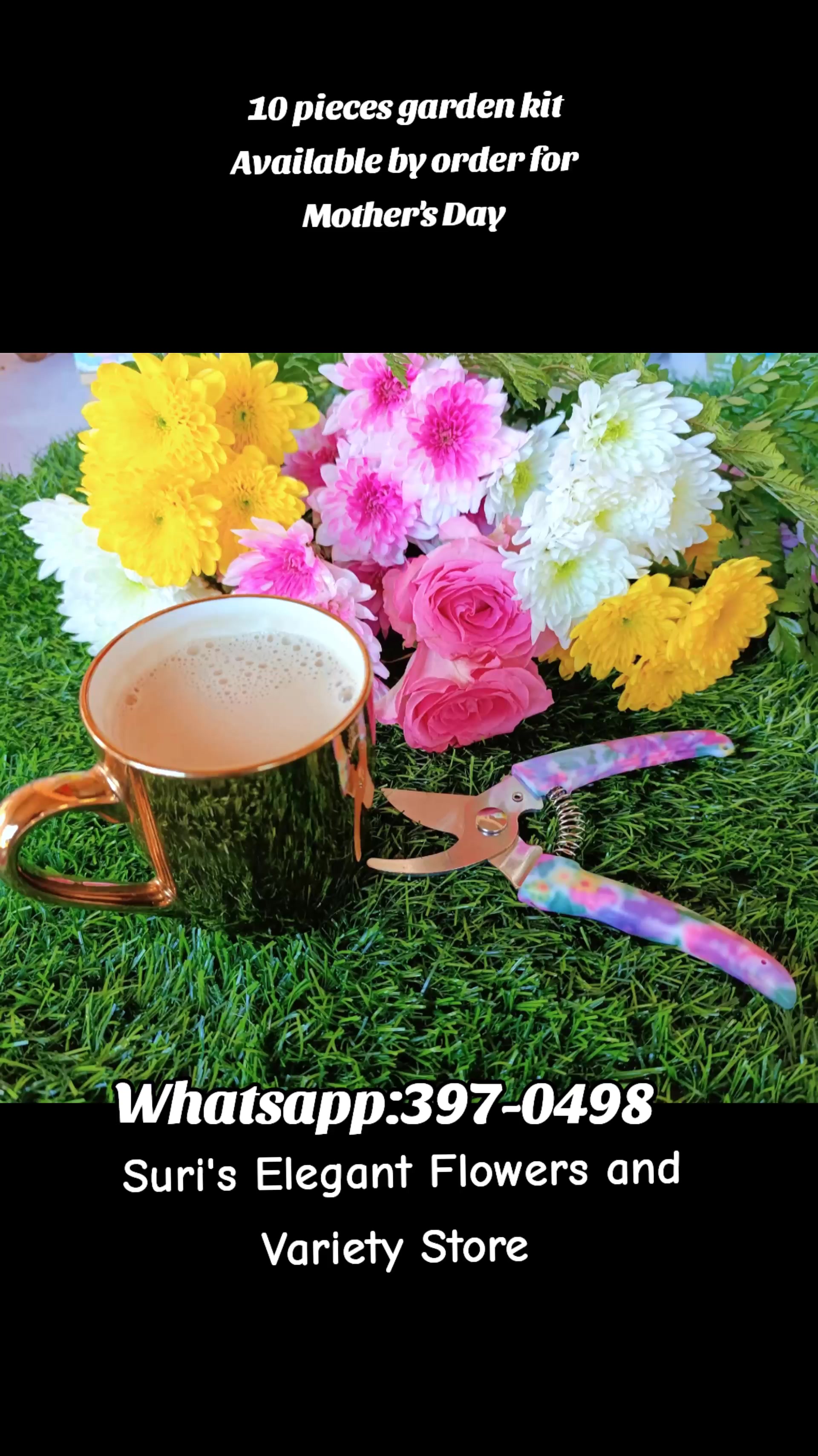@Aries_Suri007