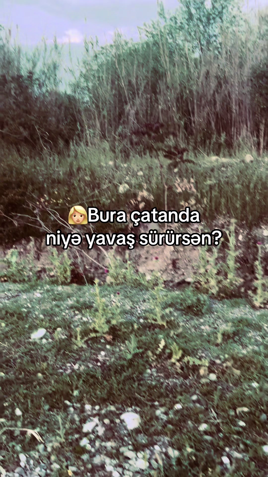 @𝓝𝓲𝓱𝓪𝓽𝓽. 𝟎𝟏𝟑