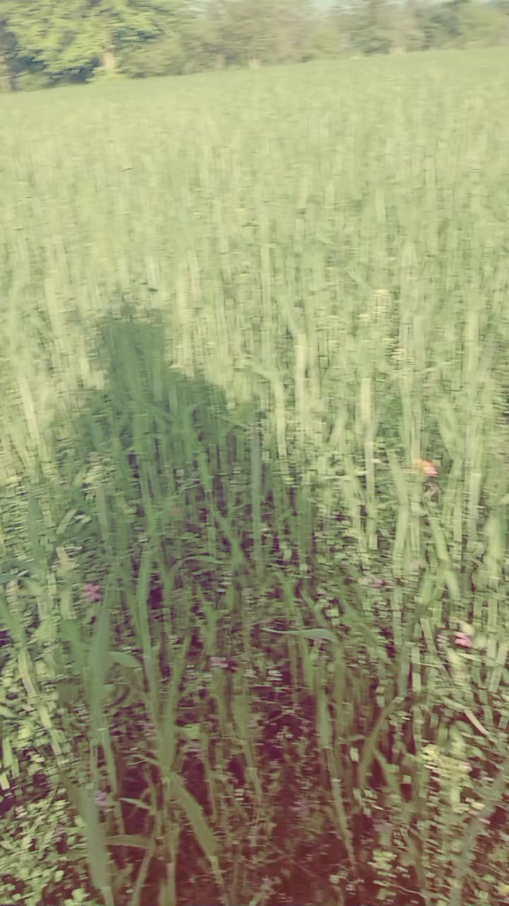 @KING.OFF.VEER