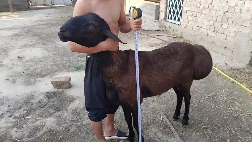 @Айдаров А