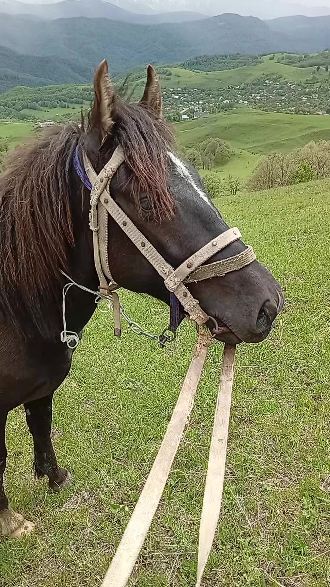 @Վաչե Գևորգյան
