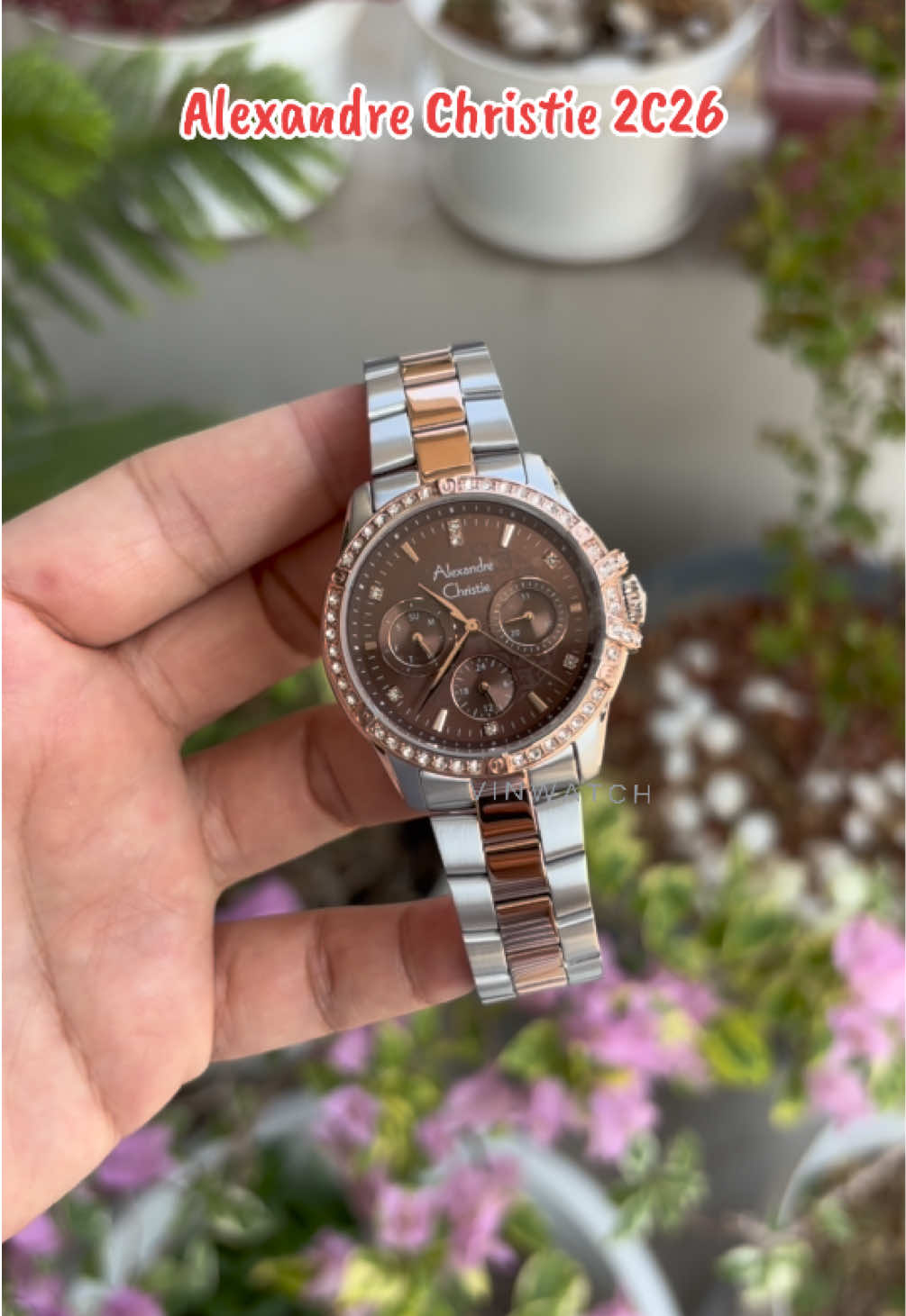 @vinwatch