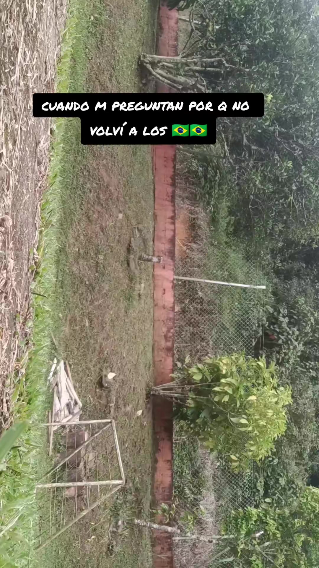 @Os portuñeros 🇨🇴🍀🇧🇷