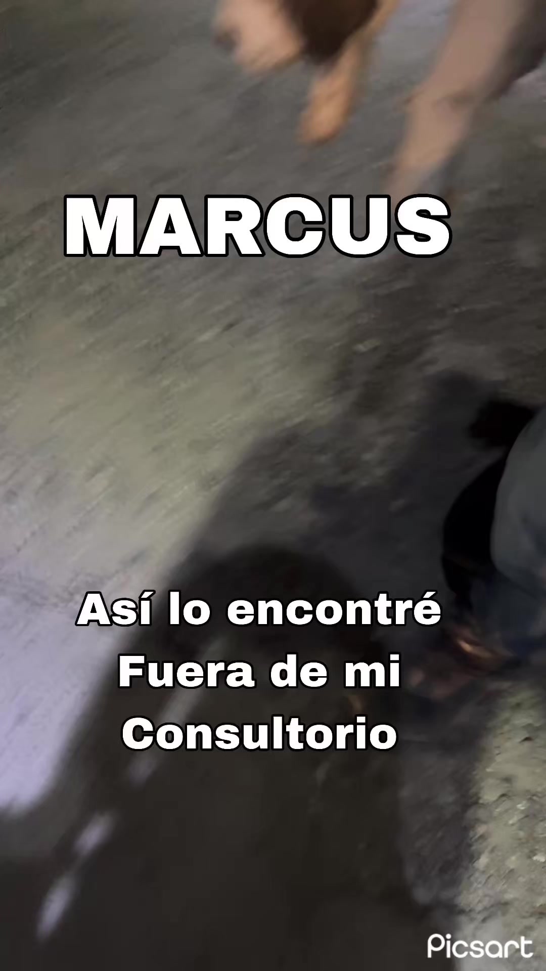 @MarianaArguijo