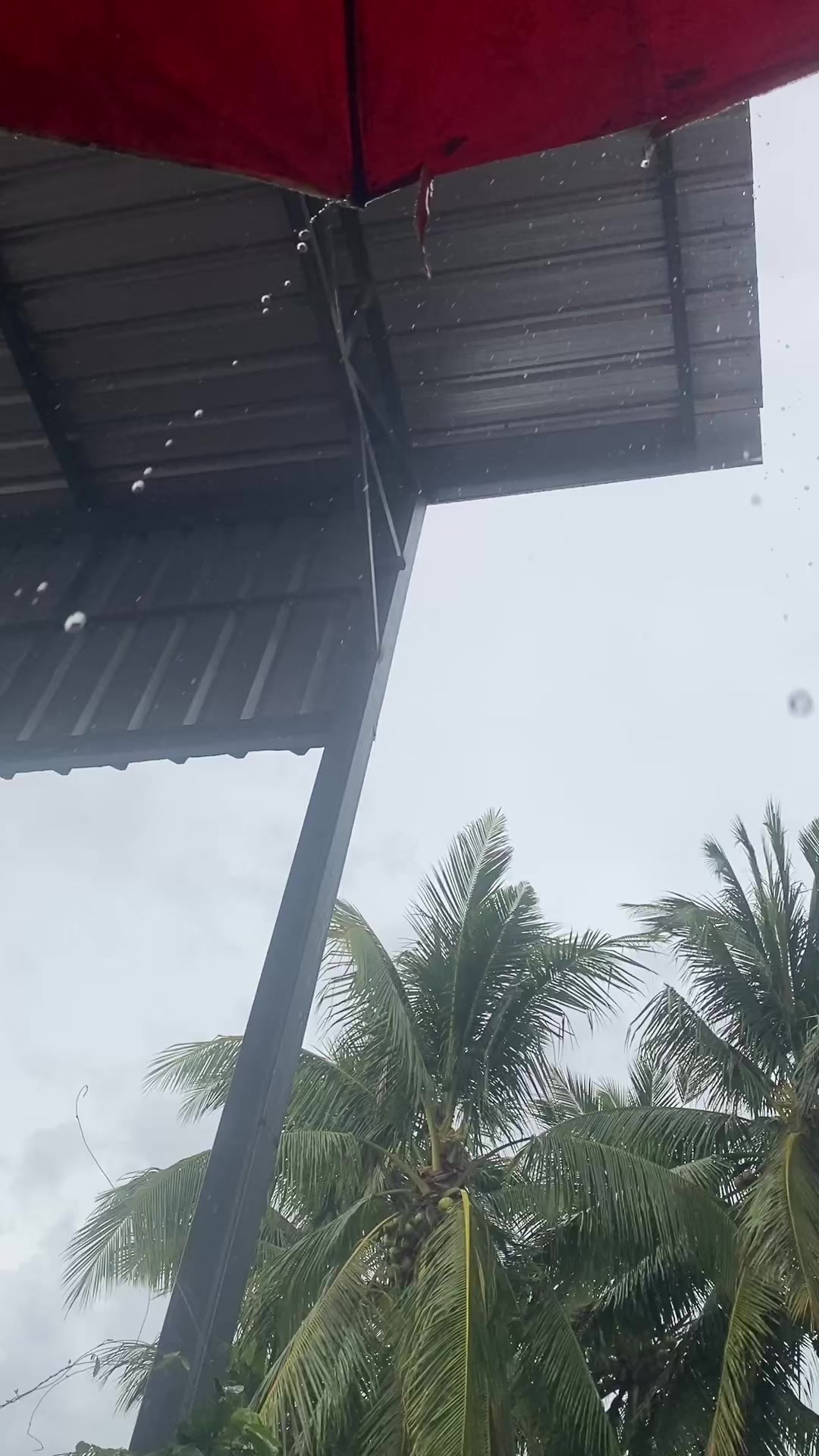 @หลีตรง เฮ็ง.🦋🌊⛄️