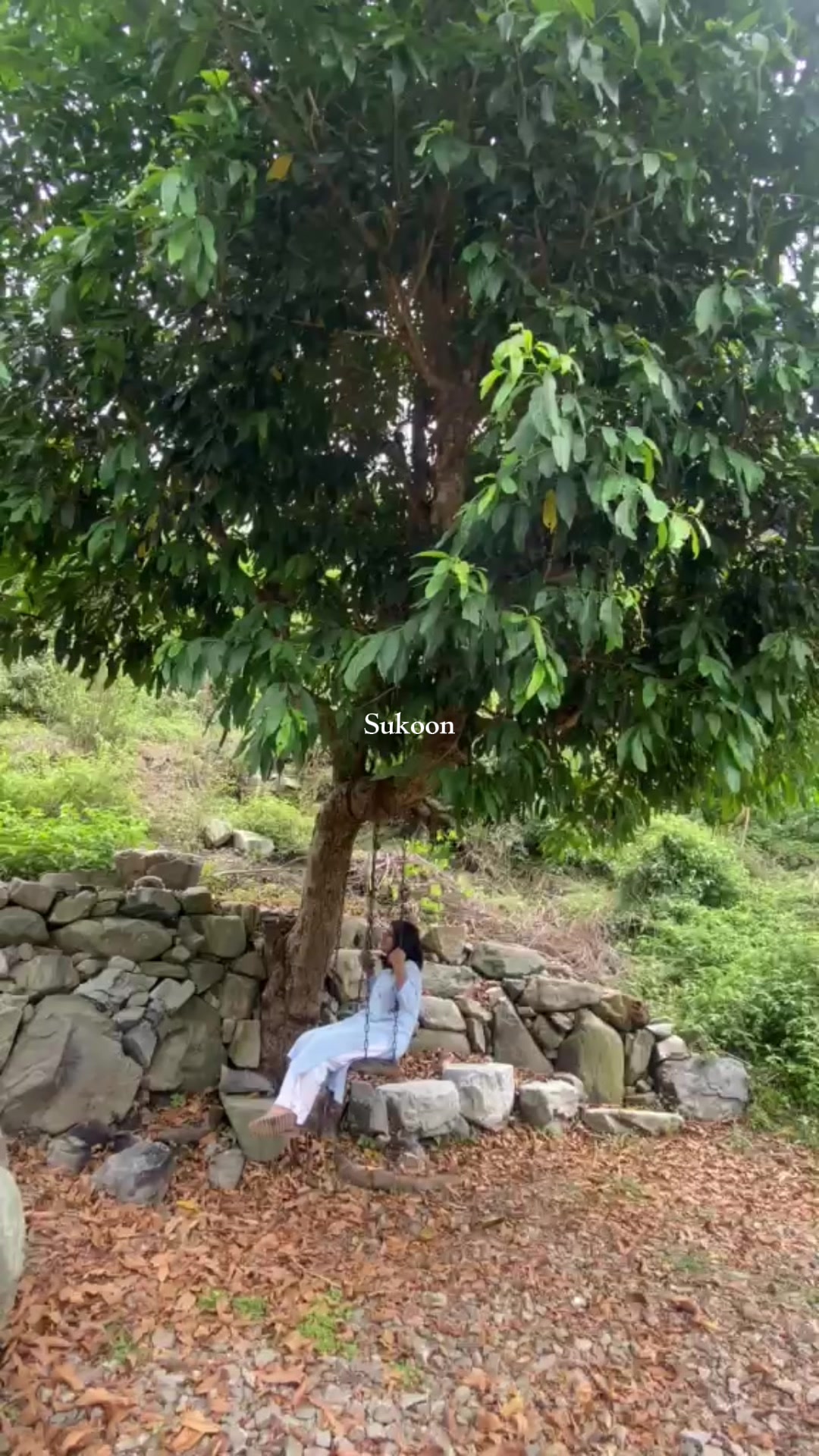 @Shyama ᥫ᭡.