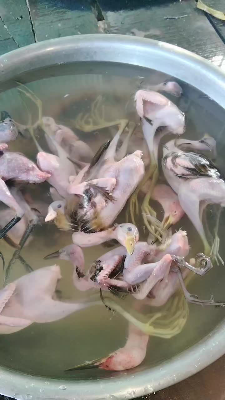 @Giàu đồ ăn ngon