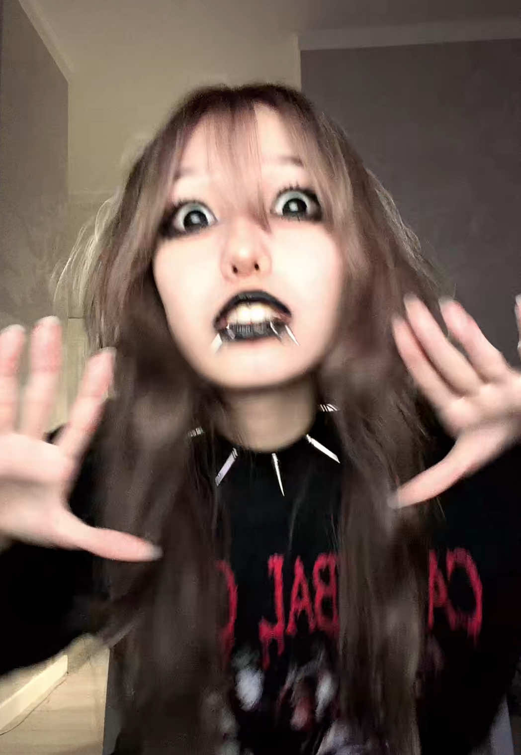@shizuka