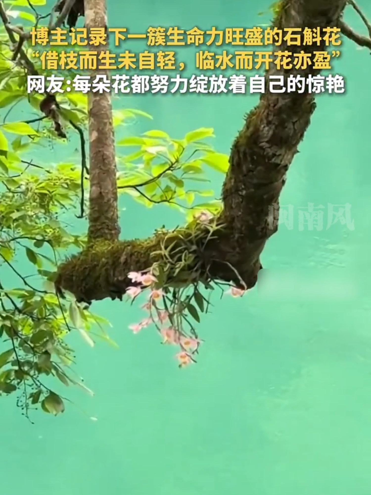 @闽南风～