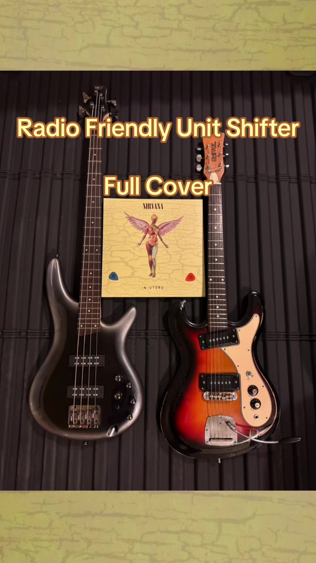 @twin_reverb_