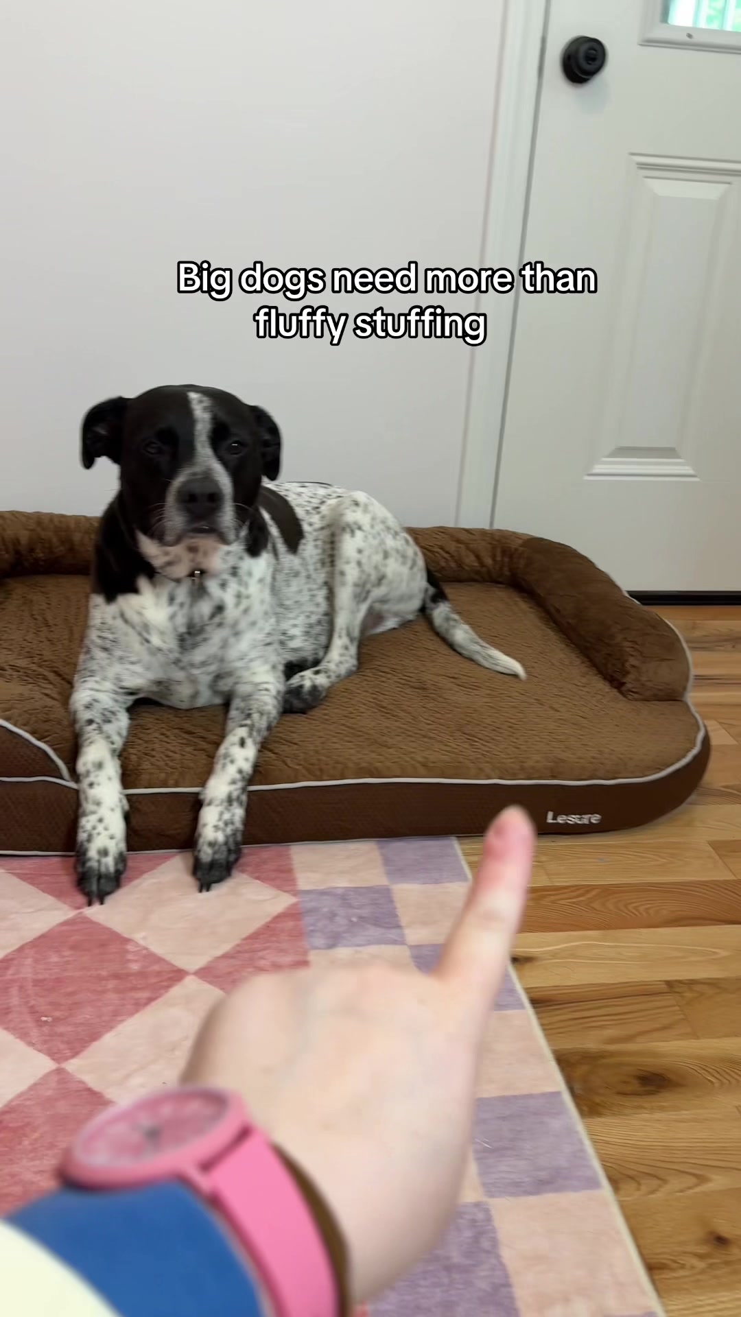 @Chelsea | Dog & Toddler Mom