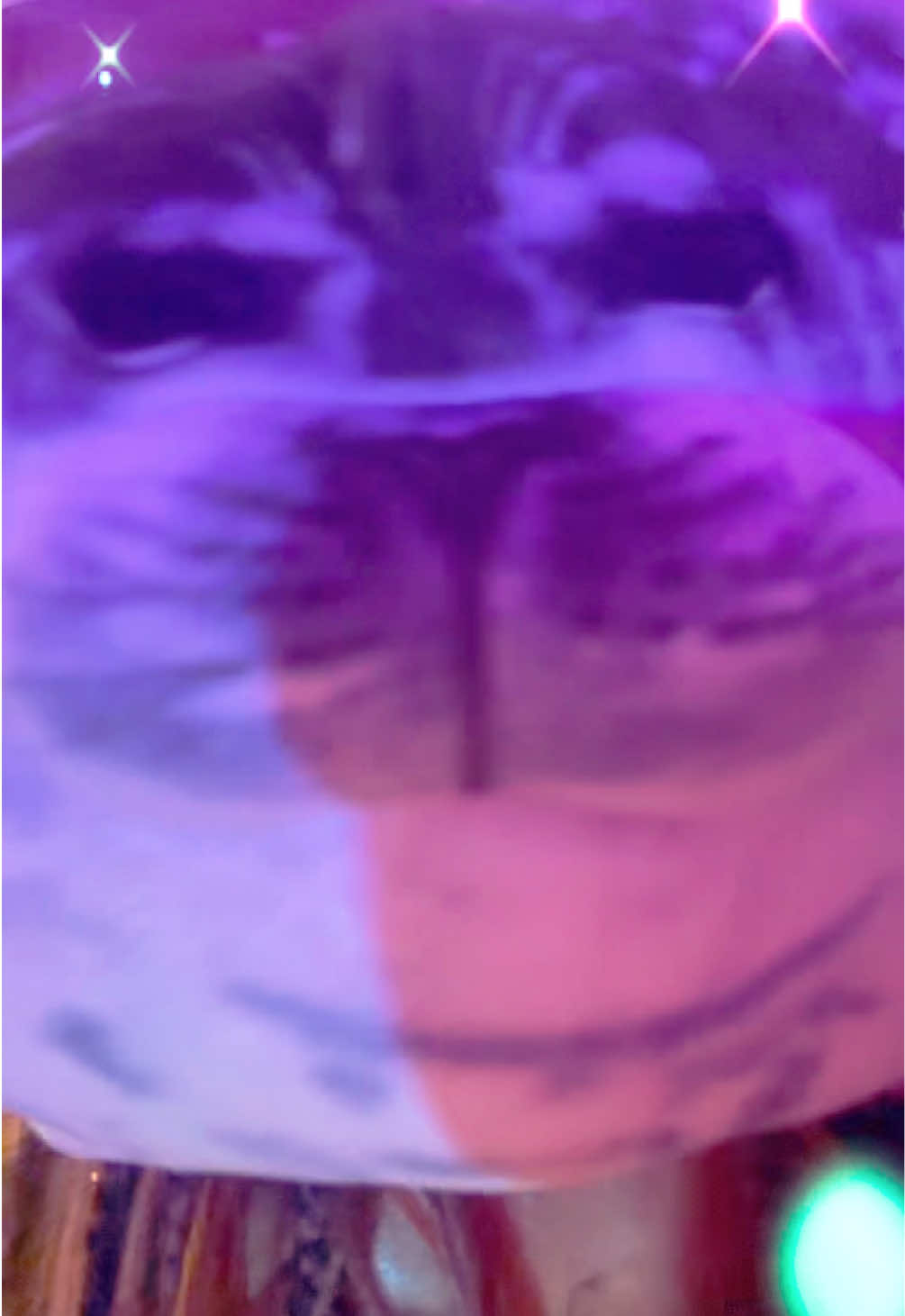 @beebz