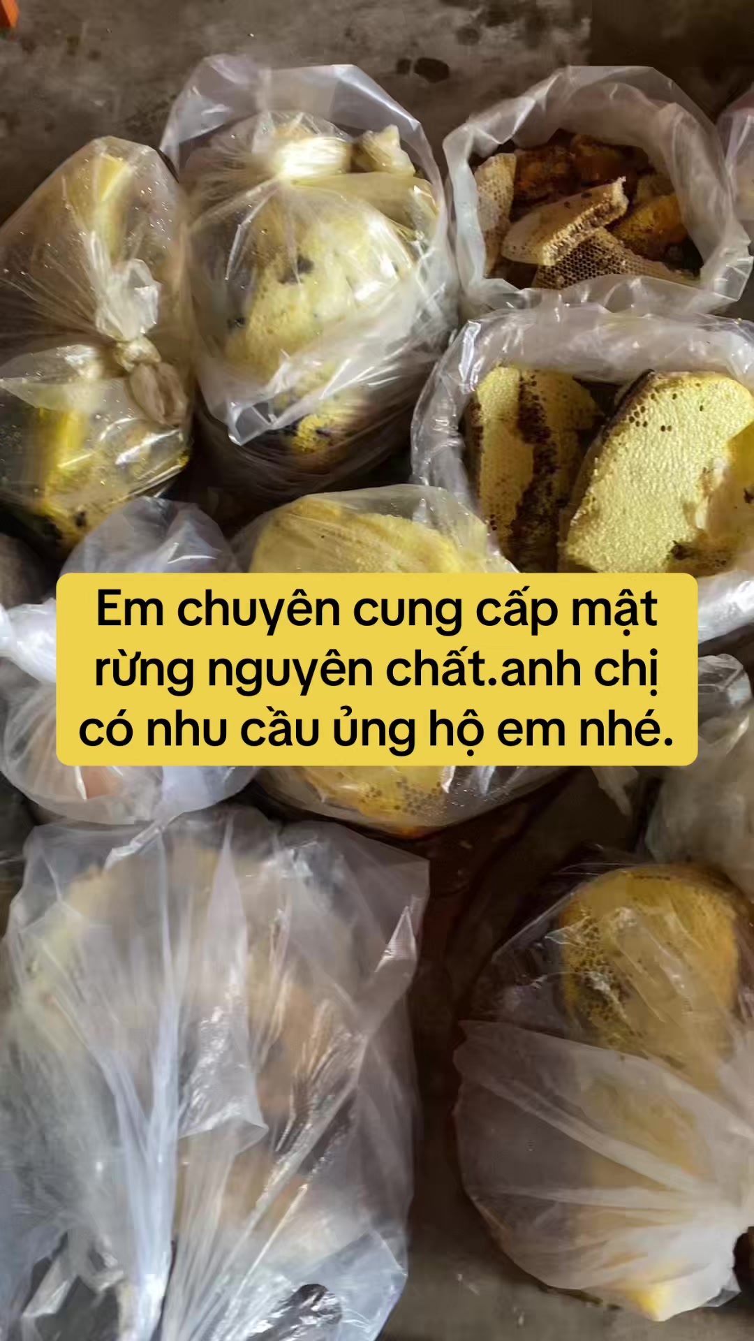 @Mật rừng TH&Agrave;NH ĐẠT