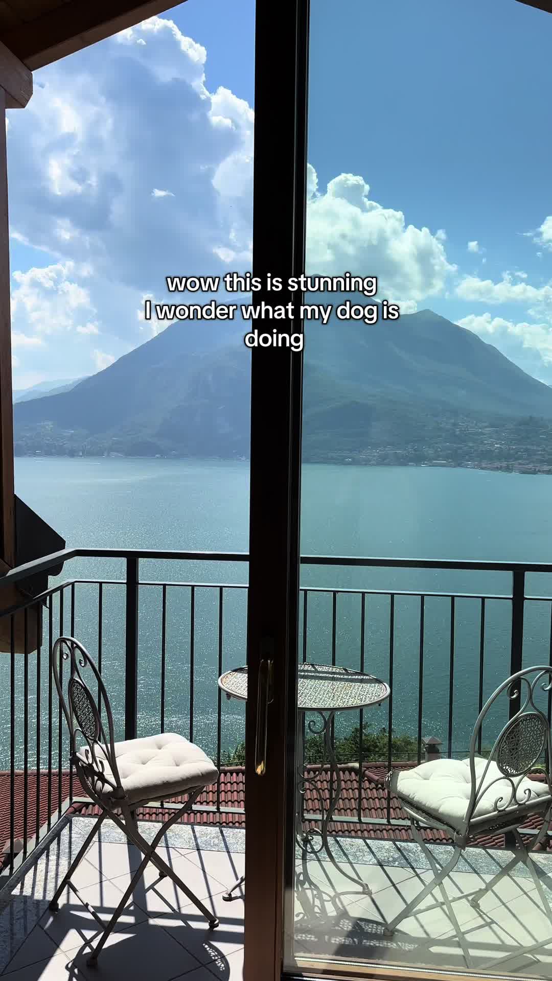 @rhubarb the doggo