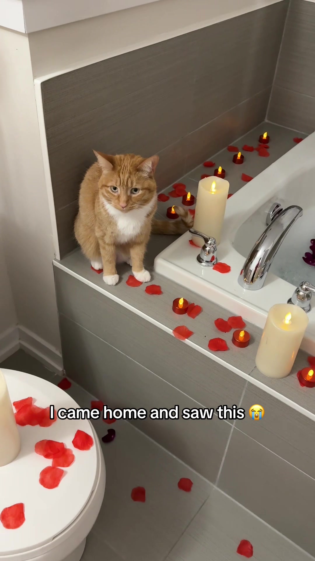 @Ginger, Pepper, & Cinnamon
