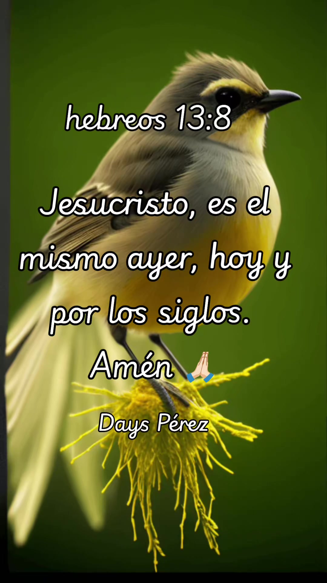 @Days P&eacute;rez