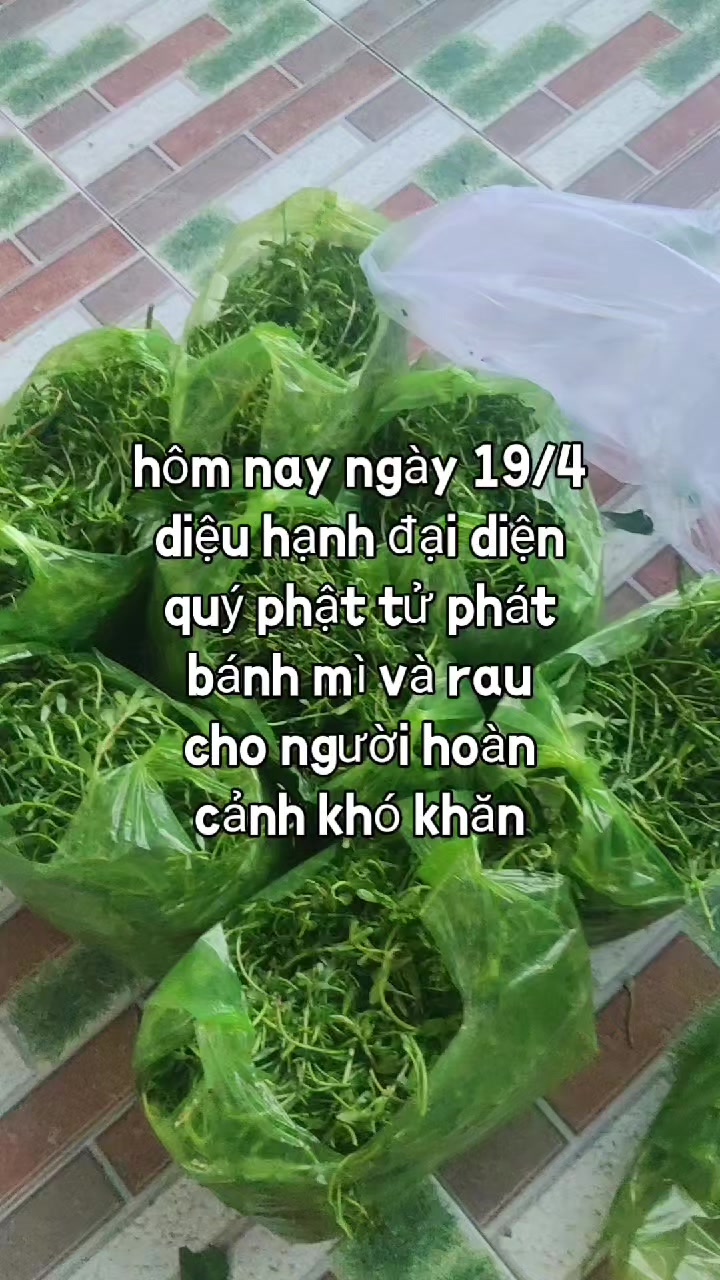 @nh&oacute;m tn diệu hạnh bỏ c&ocirc;ng sức