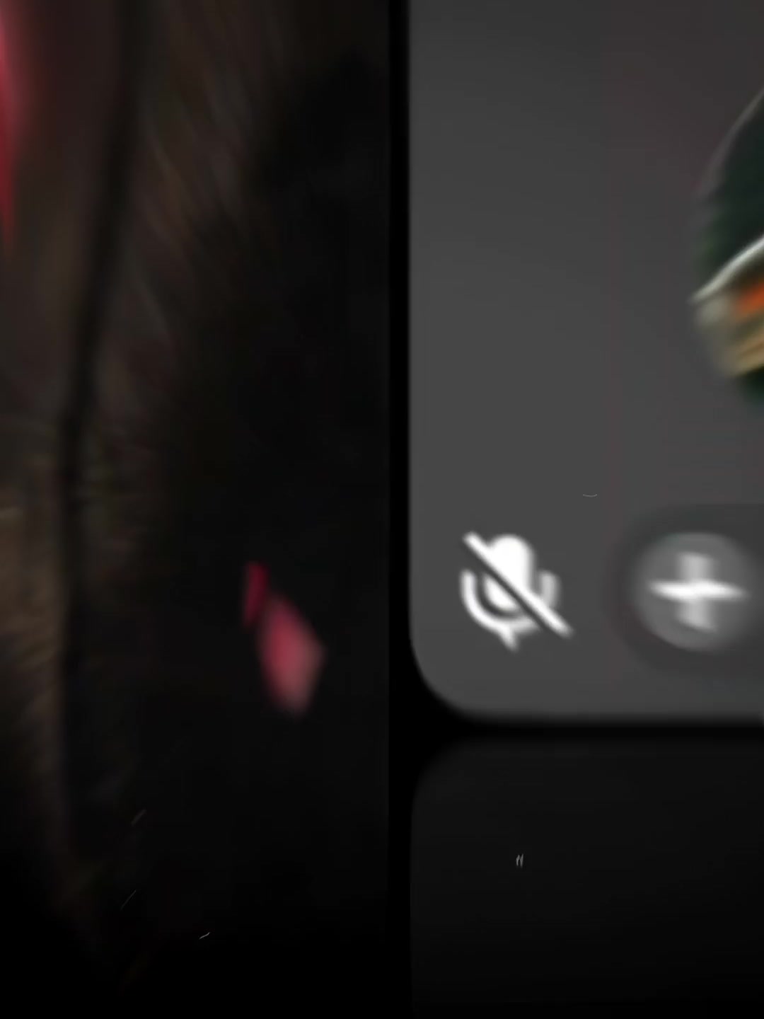 @Saeed