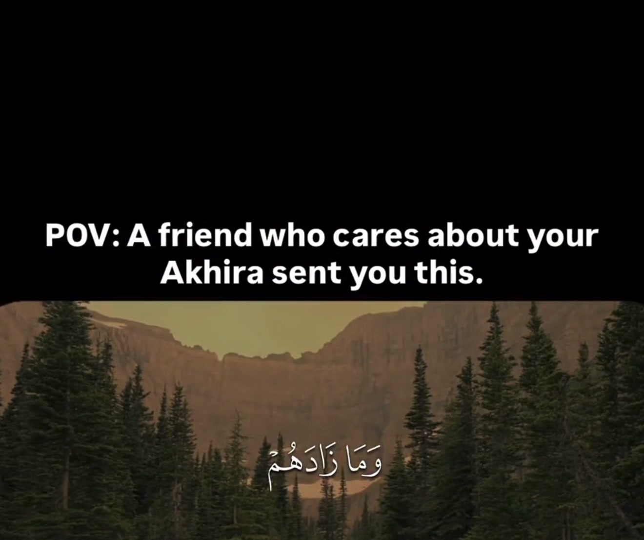 @Dr.Islam