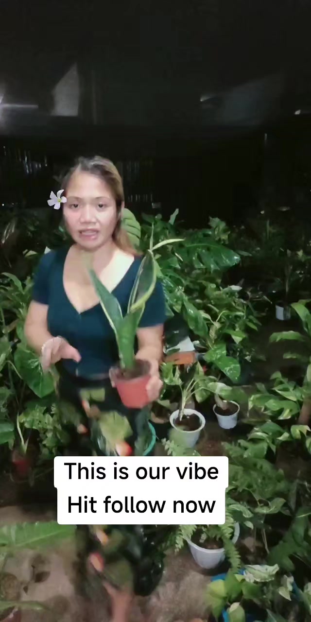 @mhie_nie gorgeous plantita