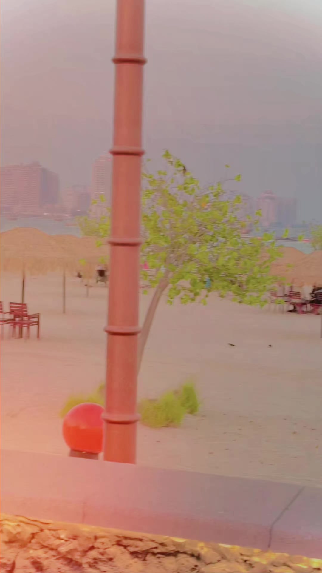 @🍁𝐒𝐡𝐚𝐧𝐢_نیازی🌸