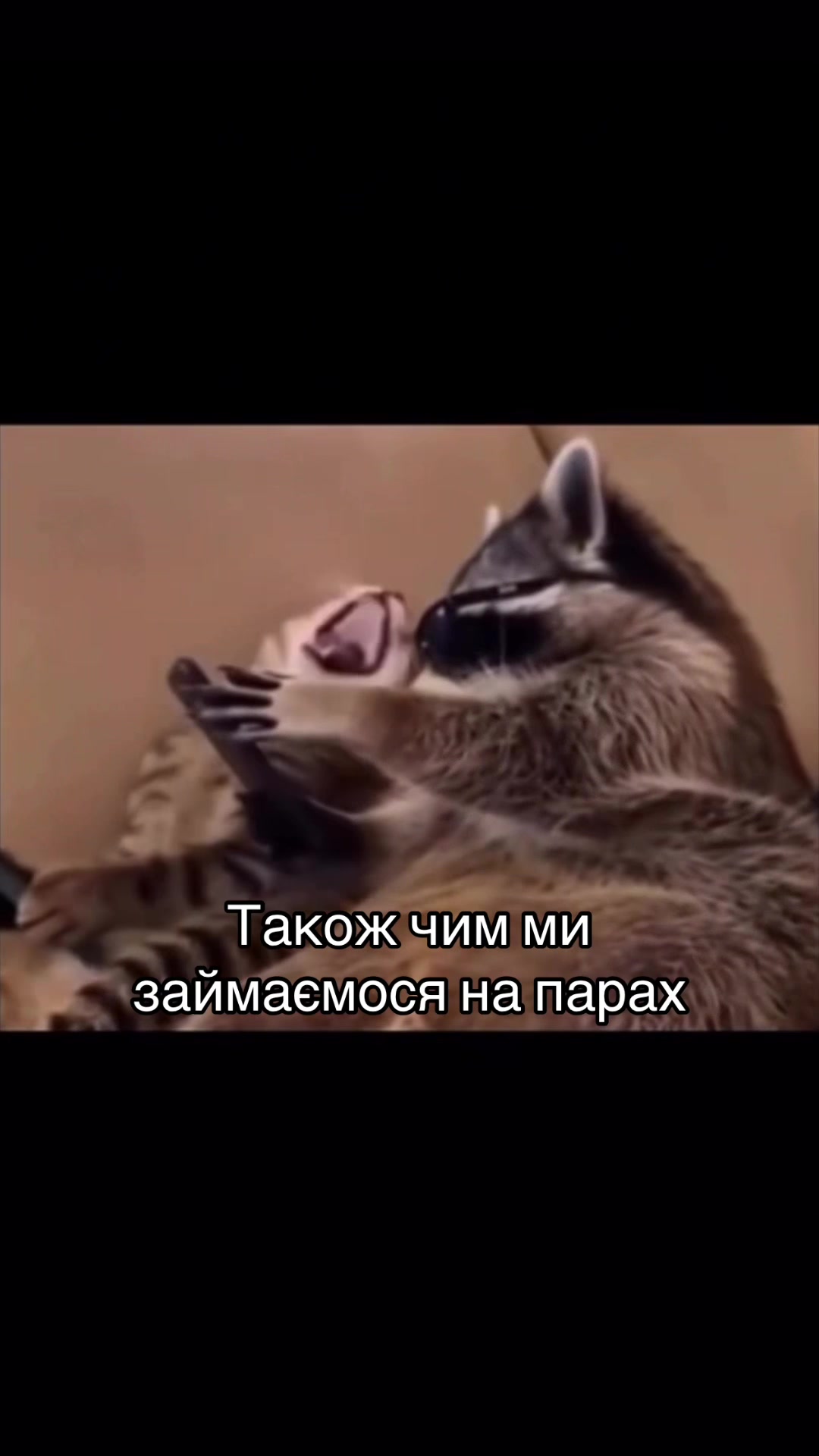 @Факультет ЦГЮ