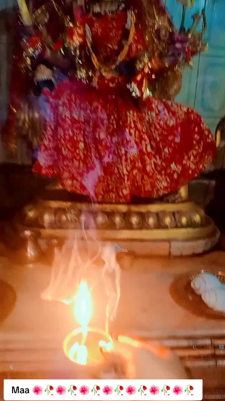 @SharbanSunitaRoyYadav861🤞❣