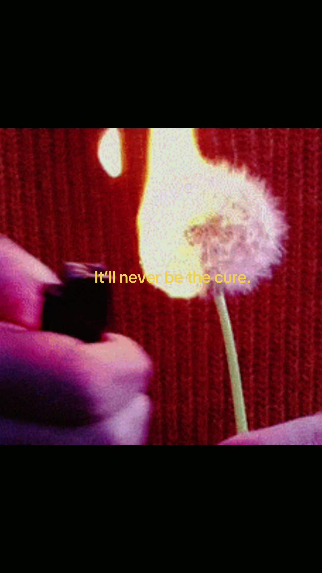 @Mila