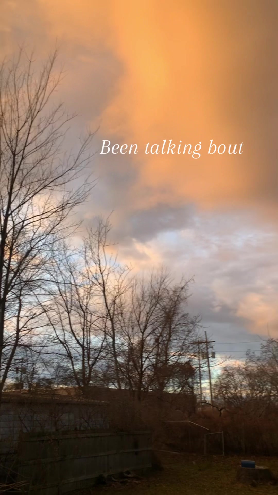 @ari🚀