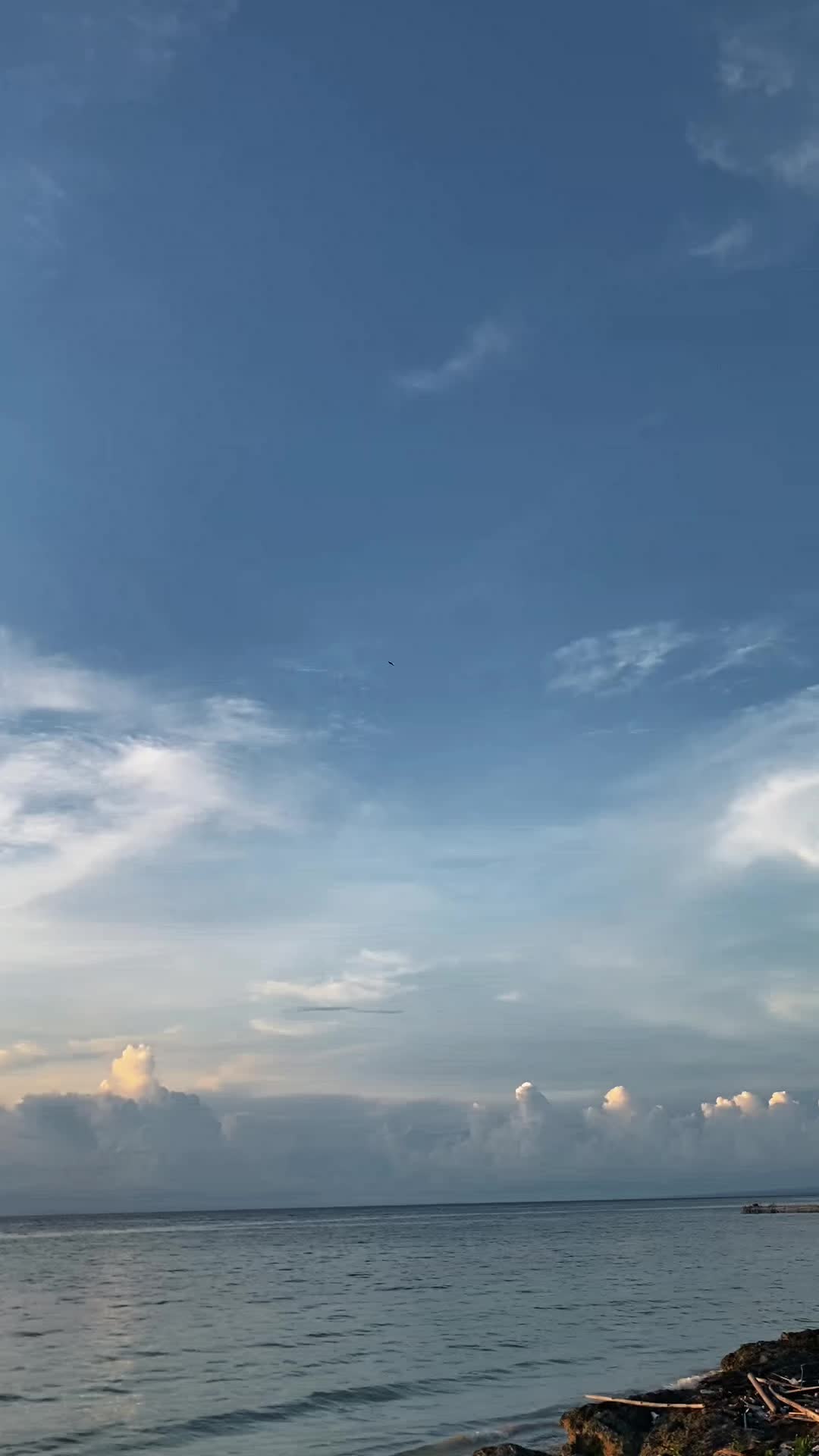 @19Novemberr