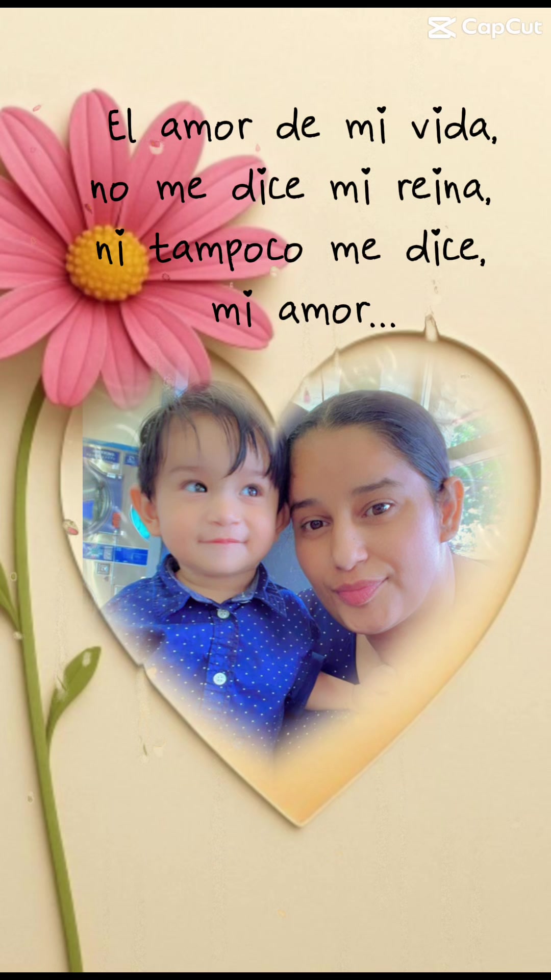 @thelma molina