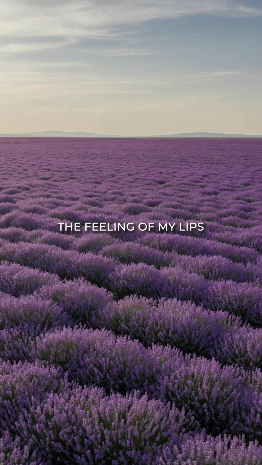 @Music Is The Feeling