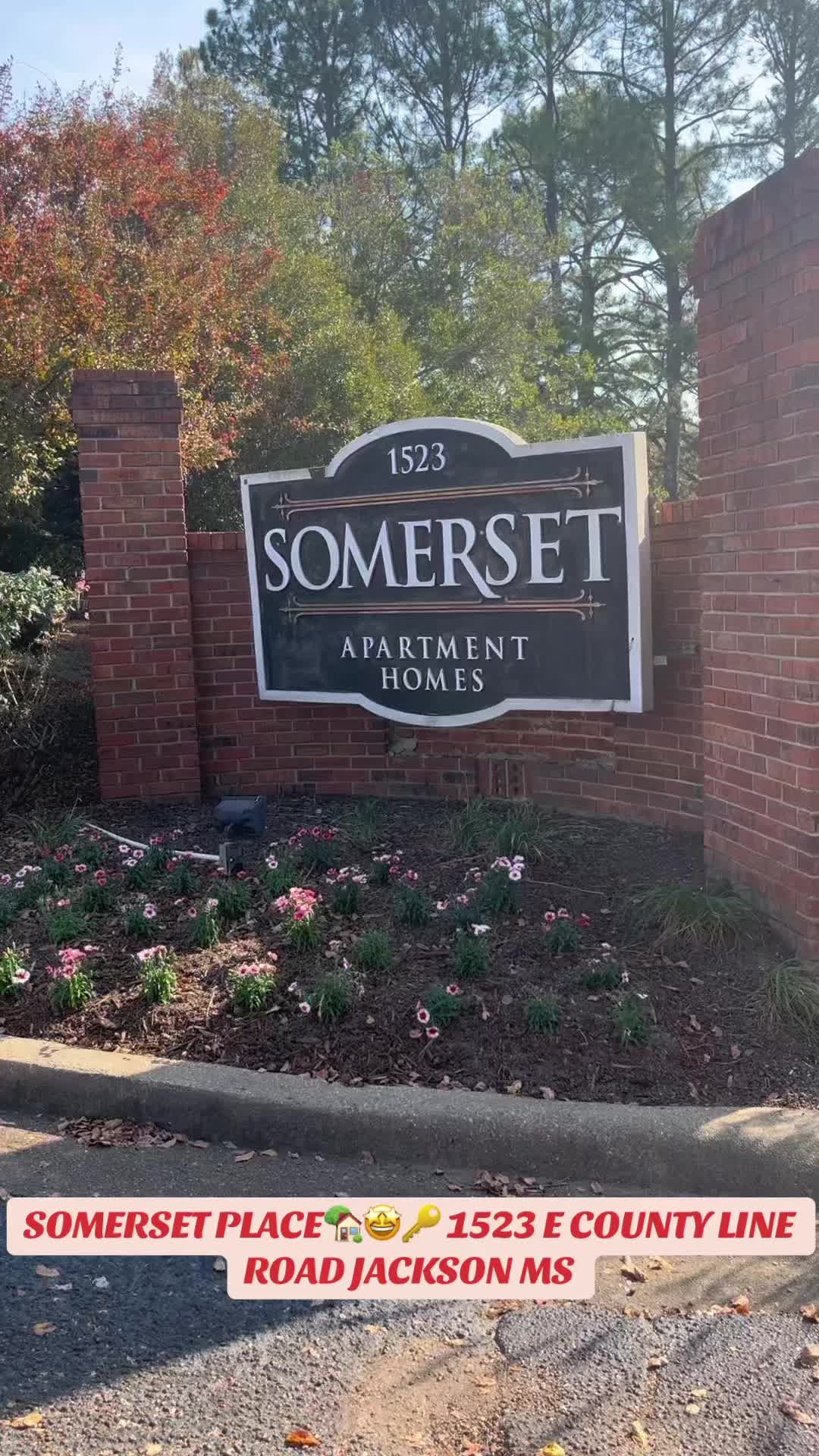 @Somerset Place Apts