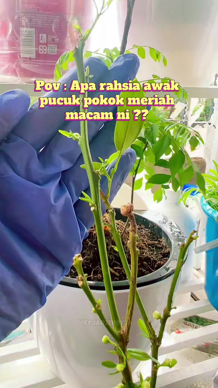 @แดฦณแแฉ ๐