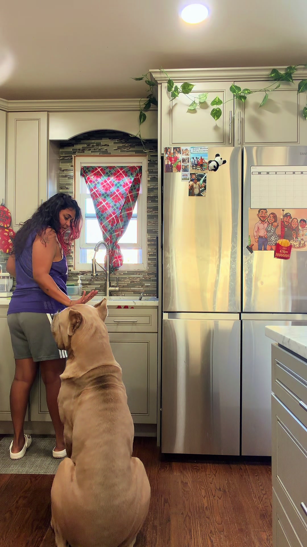 @icecanecorsoking