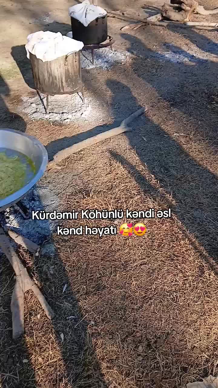 @B&uuml;rhan...
