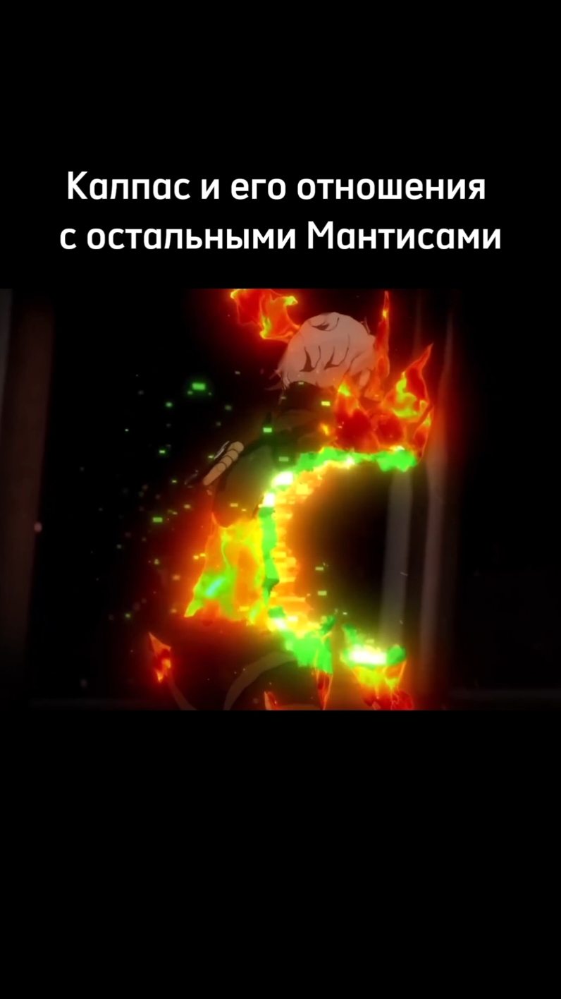 @авокадыш!