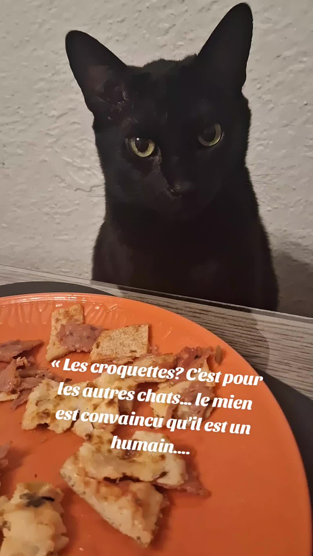 @Marjolaine Lamothe