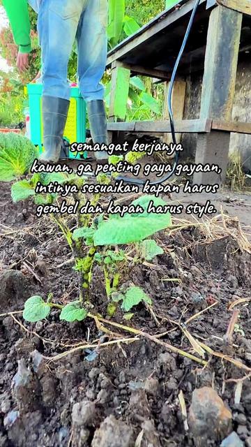 @nanda_setiawan_