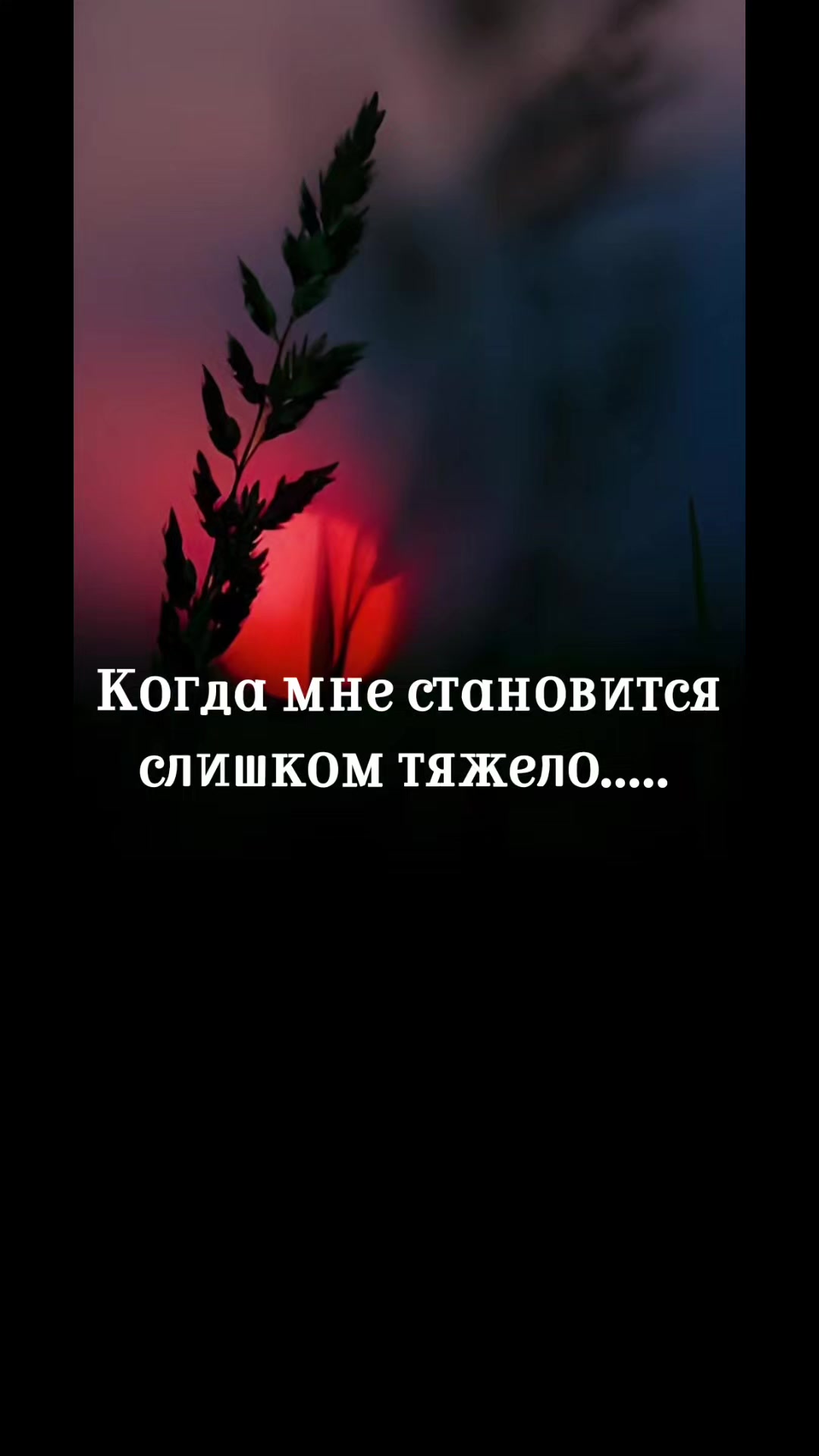 @Котя КотоФЕЙ