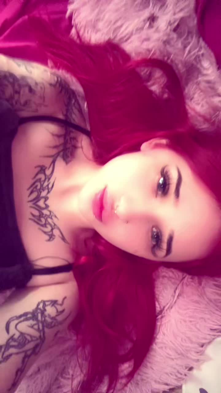 @тгк: BlackSun ее кошачьи будни