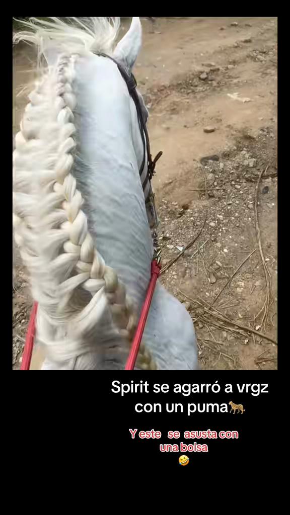 @Moises Vasquéz