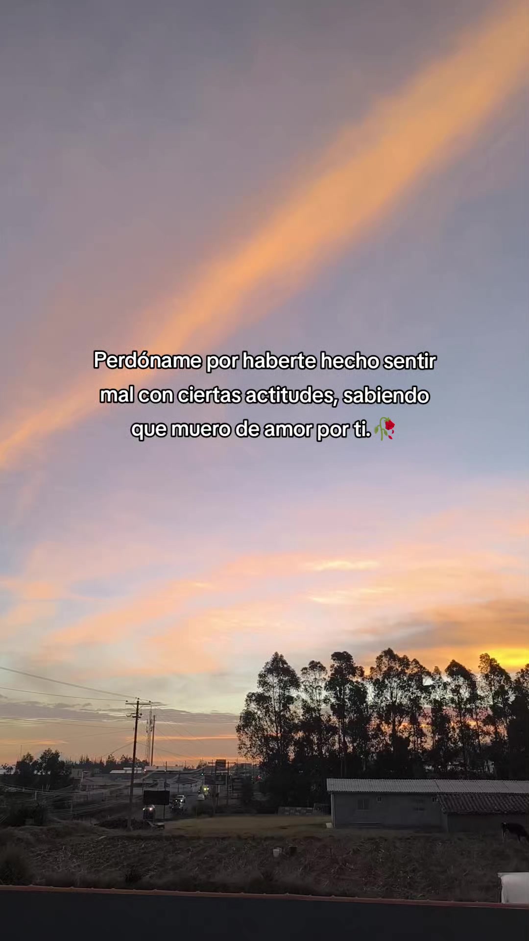 @Dulce Alexiita