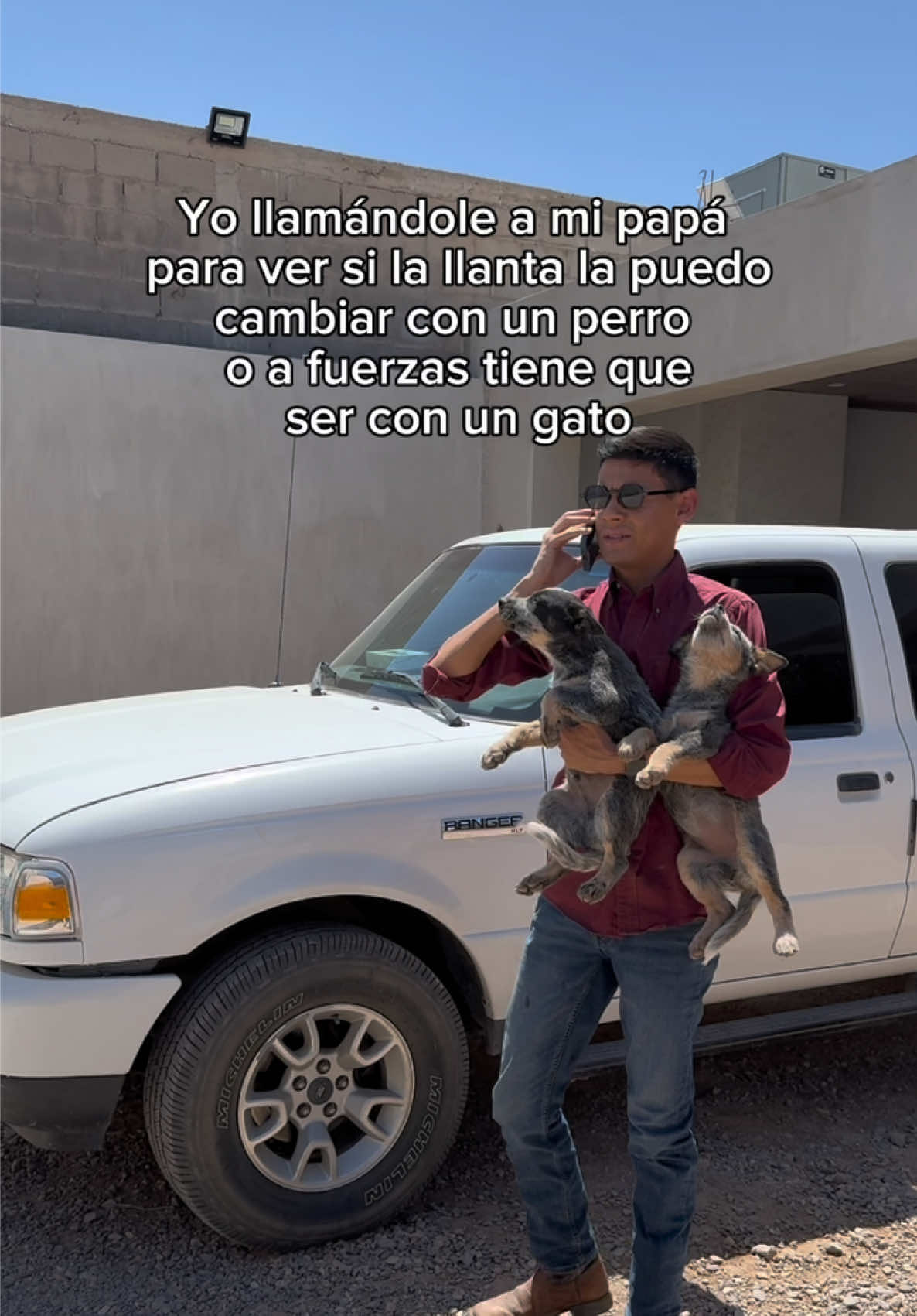 @Fernando Siu